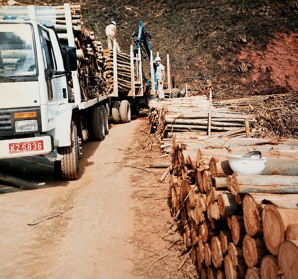 Argemiro de capacete branco ao lado do caminhão carregado de madeira, preparando a viagem